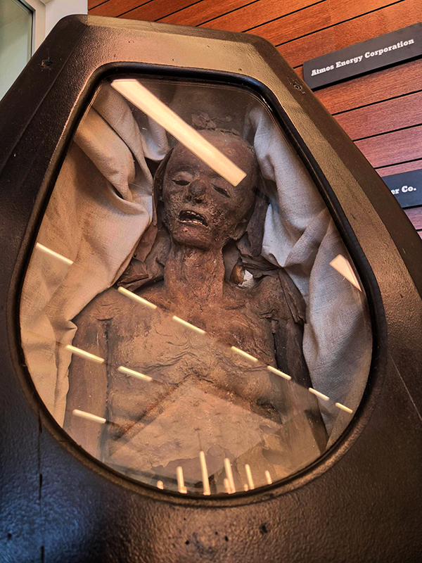 The Dummy Mummy will be on display at the Two Mississippi Museums throughout October.